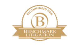 Benchmark Litigation